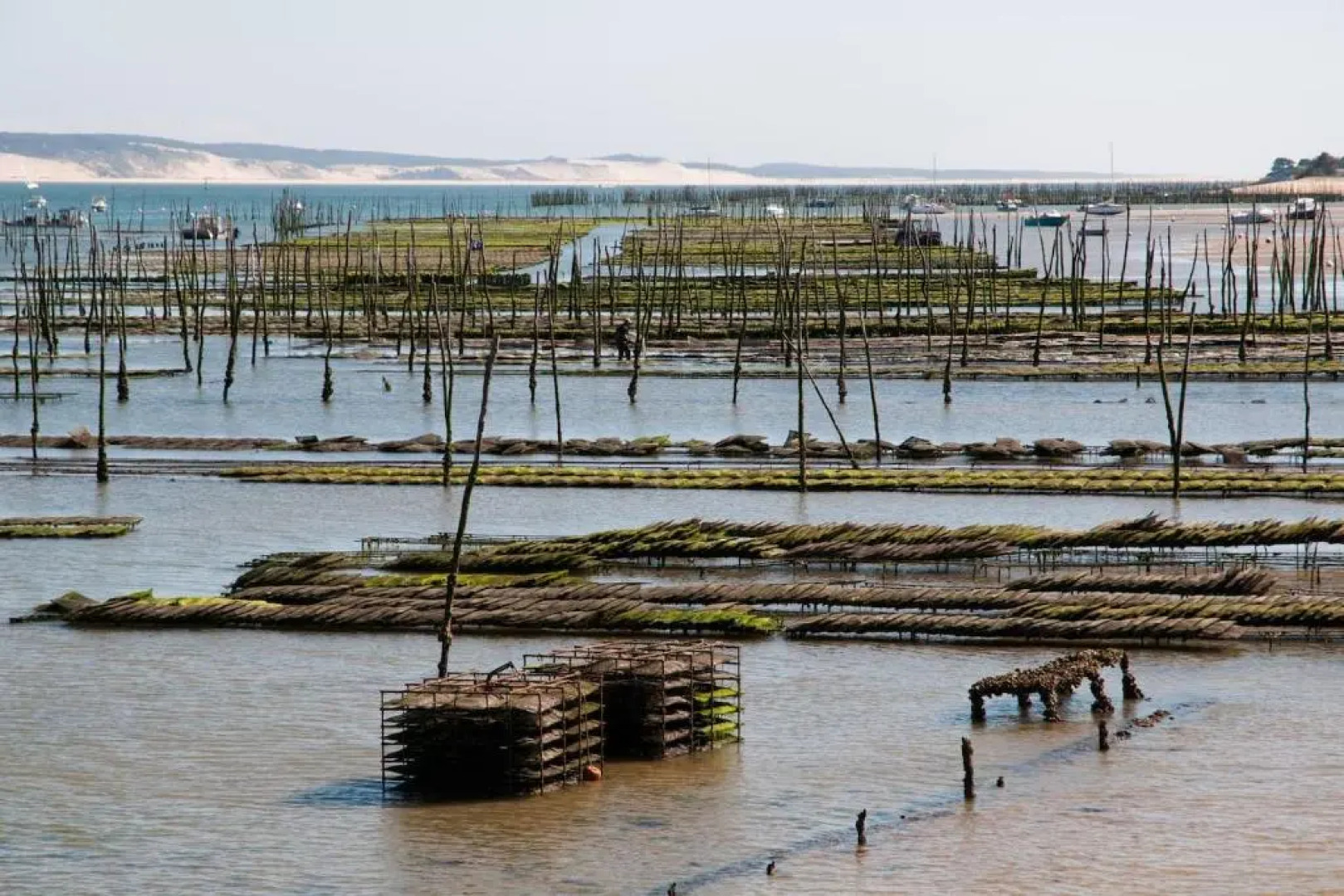 Maison Bassin d'Arcachon - Arès - Proche plage et commerces, 3 chambres, 8 personnes, climatisation