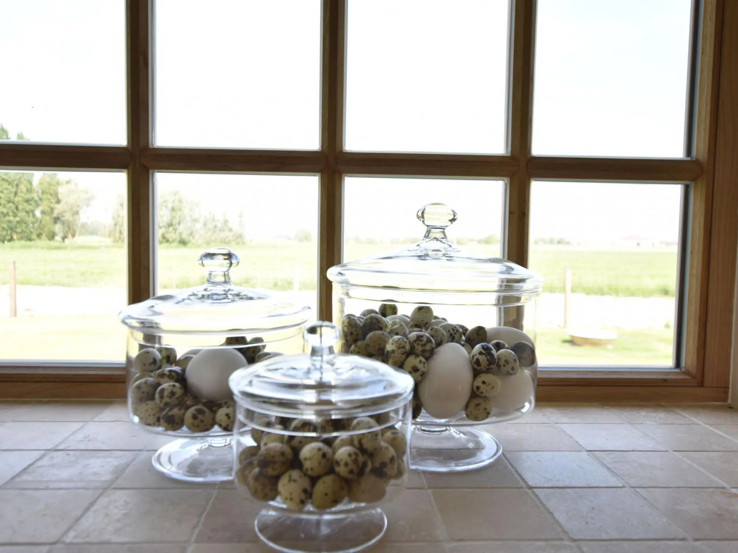 Beautiful Holiday Home With Terrace, Garden