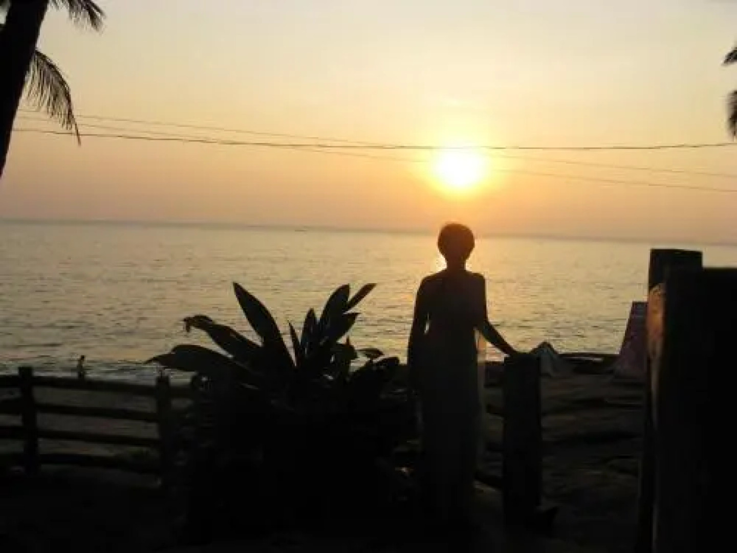 Padme Ayurveda Resort