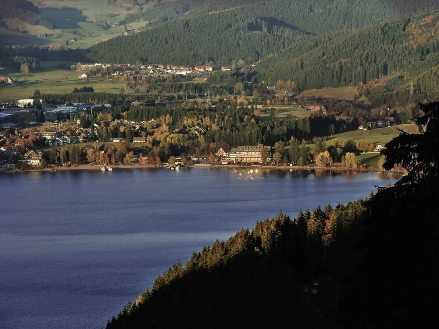 Ferienvilla im Schwarzwald