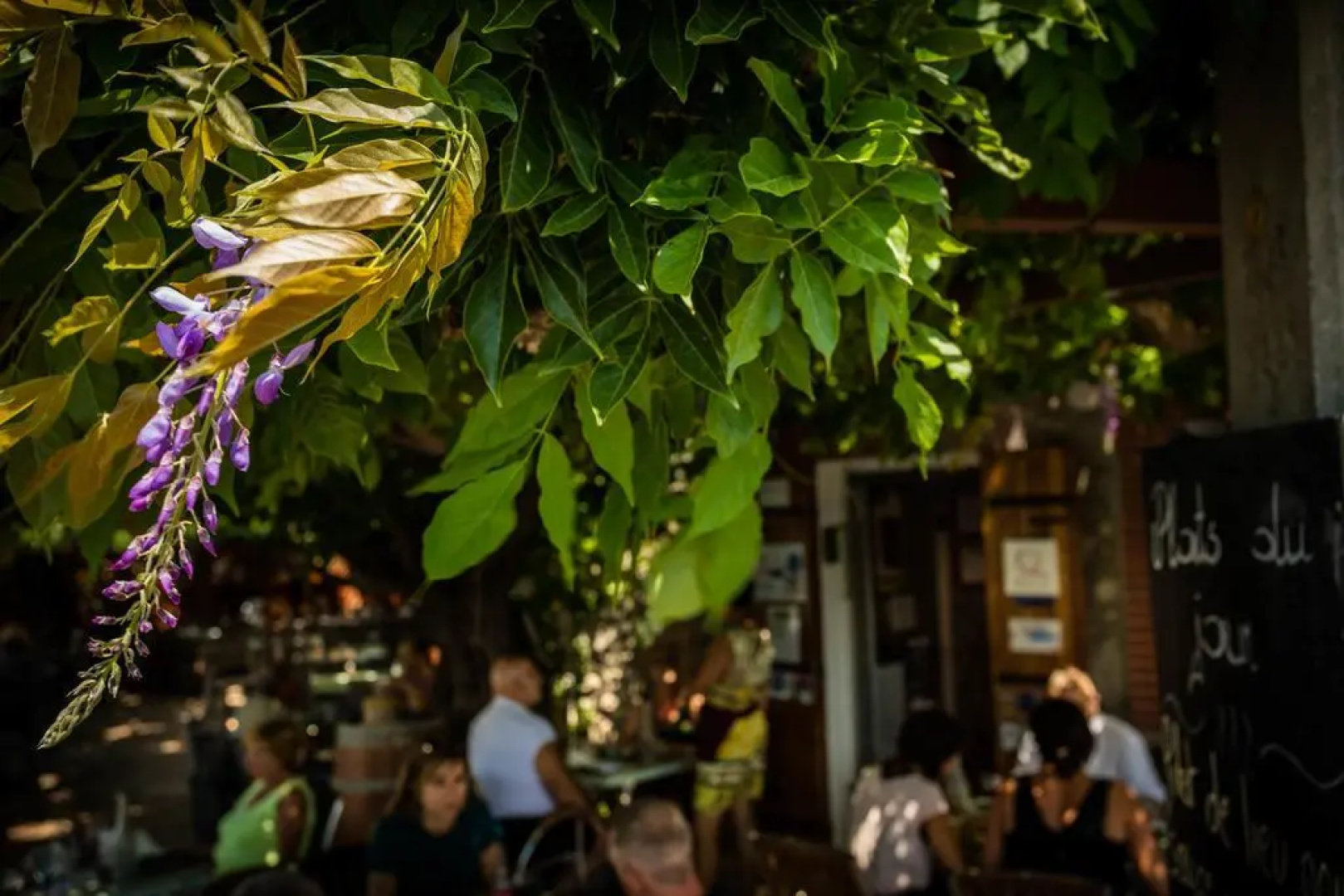 Auberge du bon vivant
