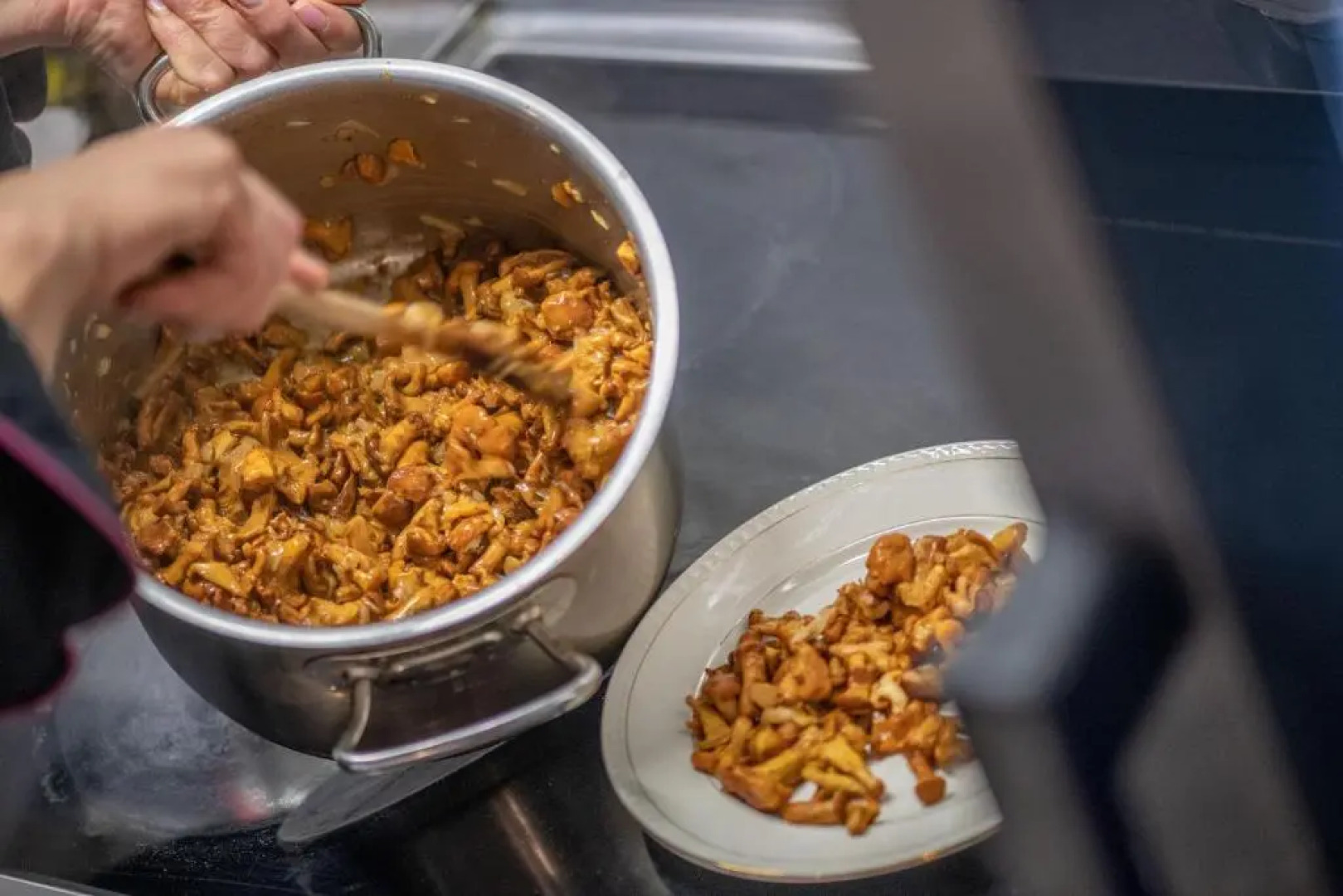 Silentium Dolomites Chalet