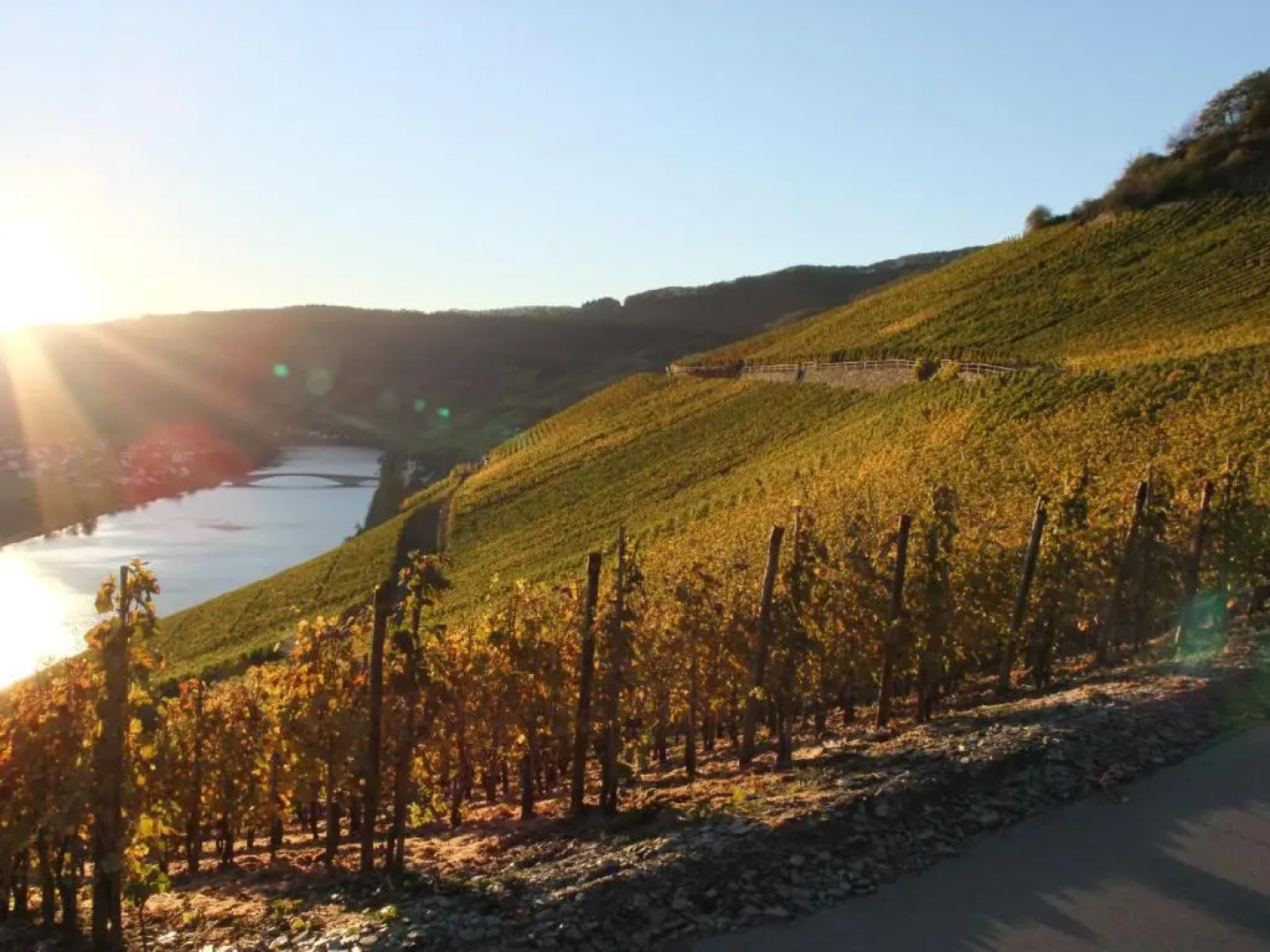 Weingut Lehnert-Veit Gutshotel