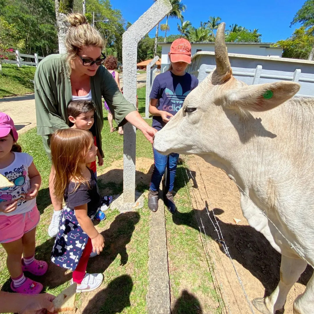 Hotel Fazenda Casarão do Vale Hotel