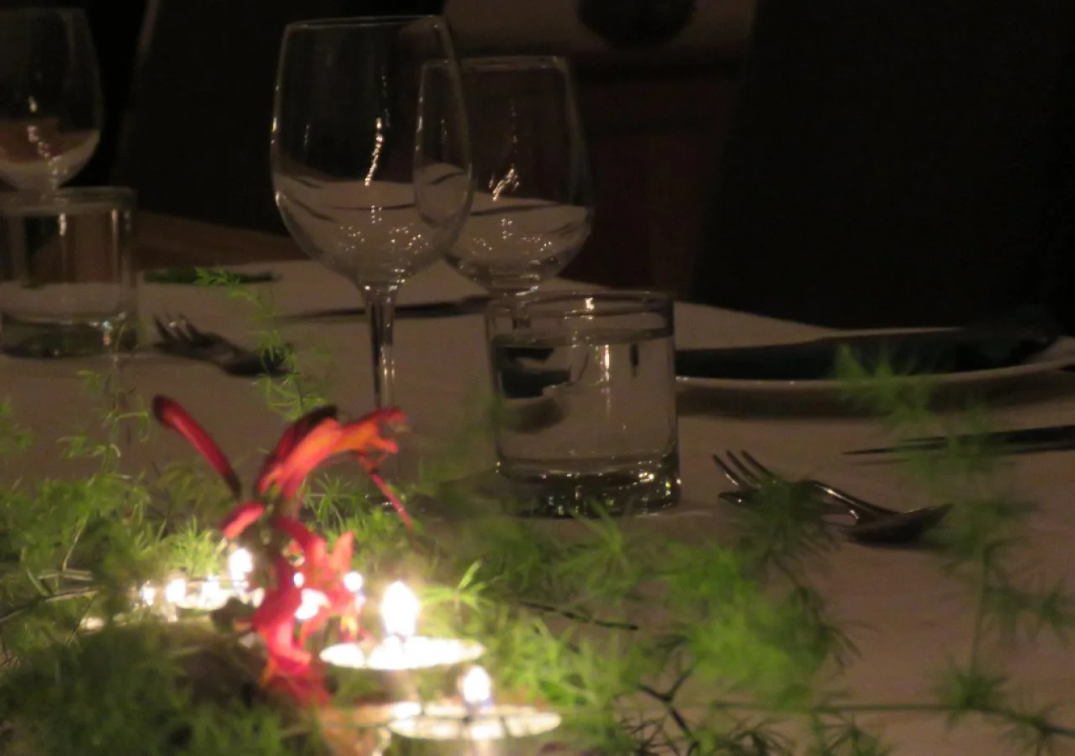 Woodbury Lodge - Amakhala Game Reserve