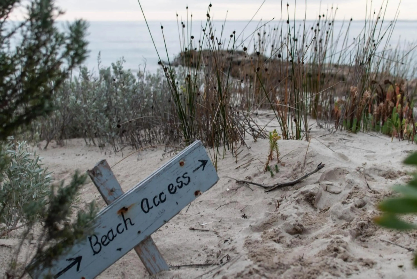 Polperro, a quintessential seaside experience