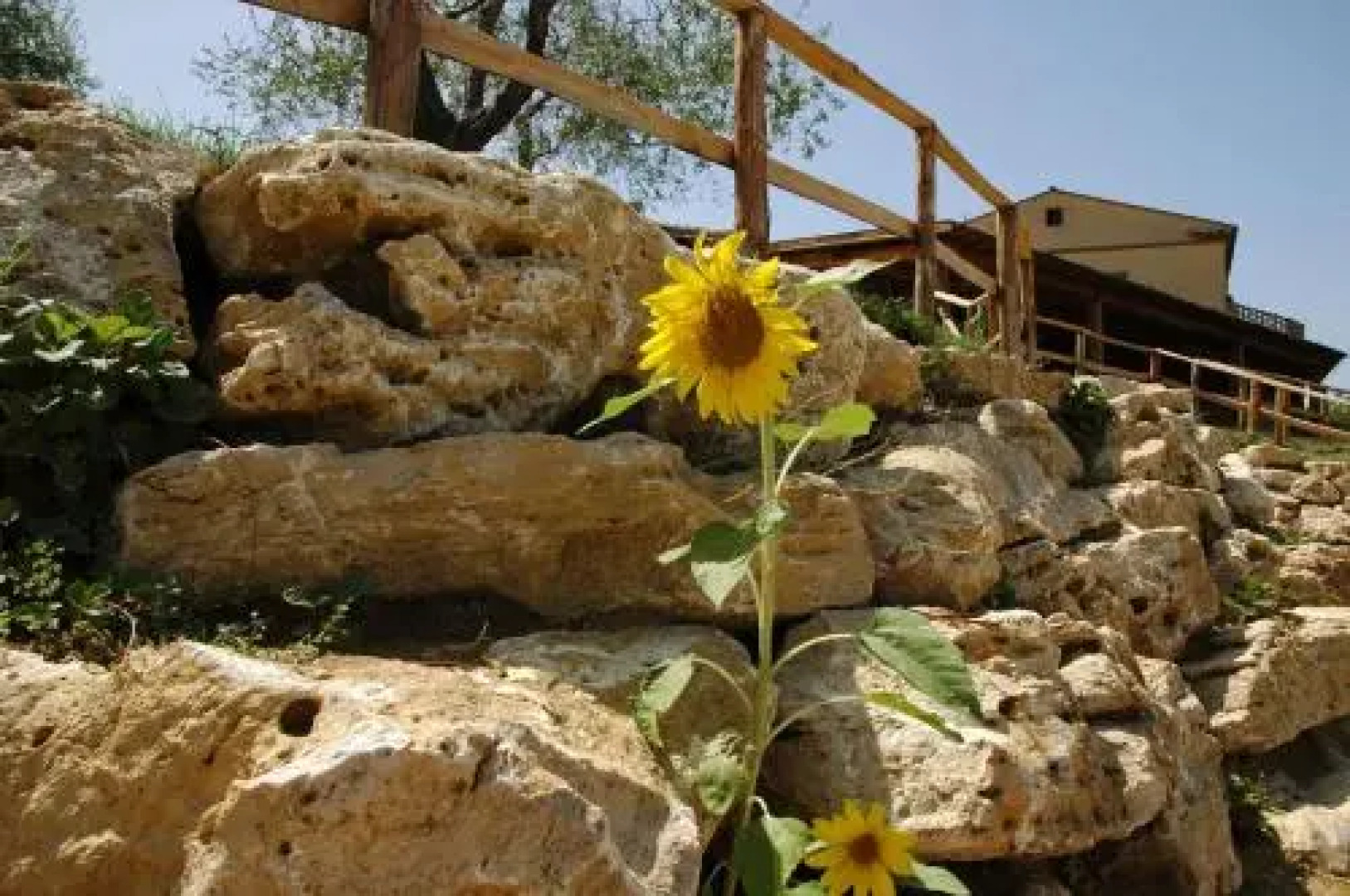 Agriturismo Campo Antico