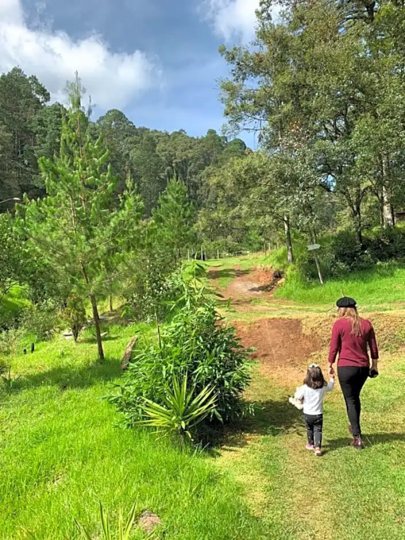 Romanticas Cabañas En Bosque