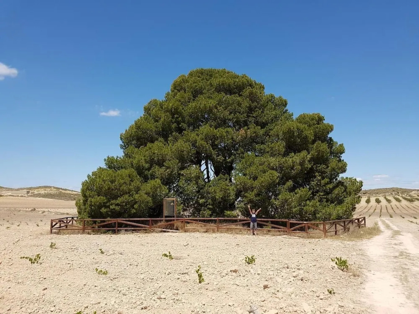 Cortijo de los Castellanos