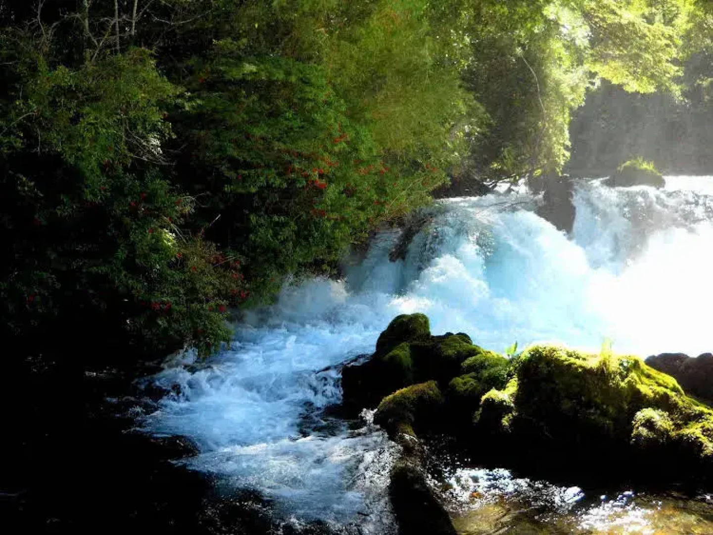 Hotel Salto del Carileufu