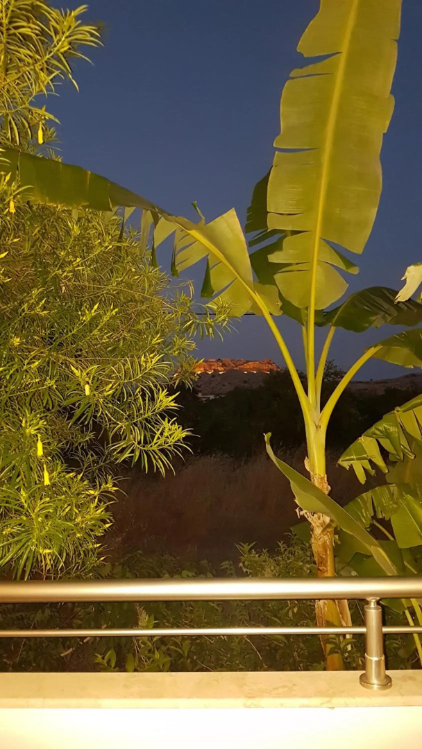 Pauls Garden Studios