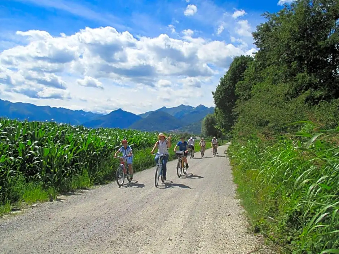 B&B Il Nido dello Svasso