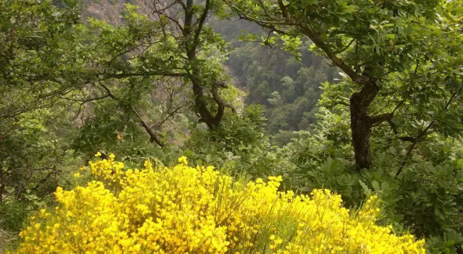 Chambres dhôtes Le Fougal