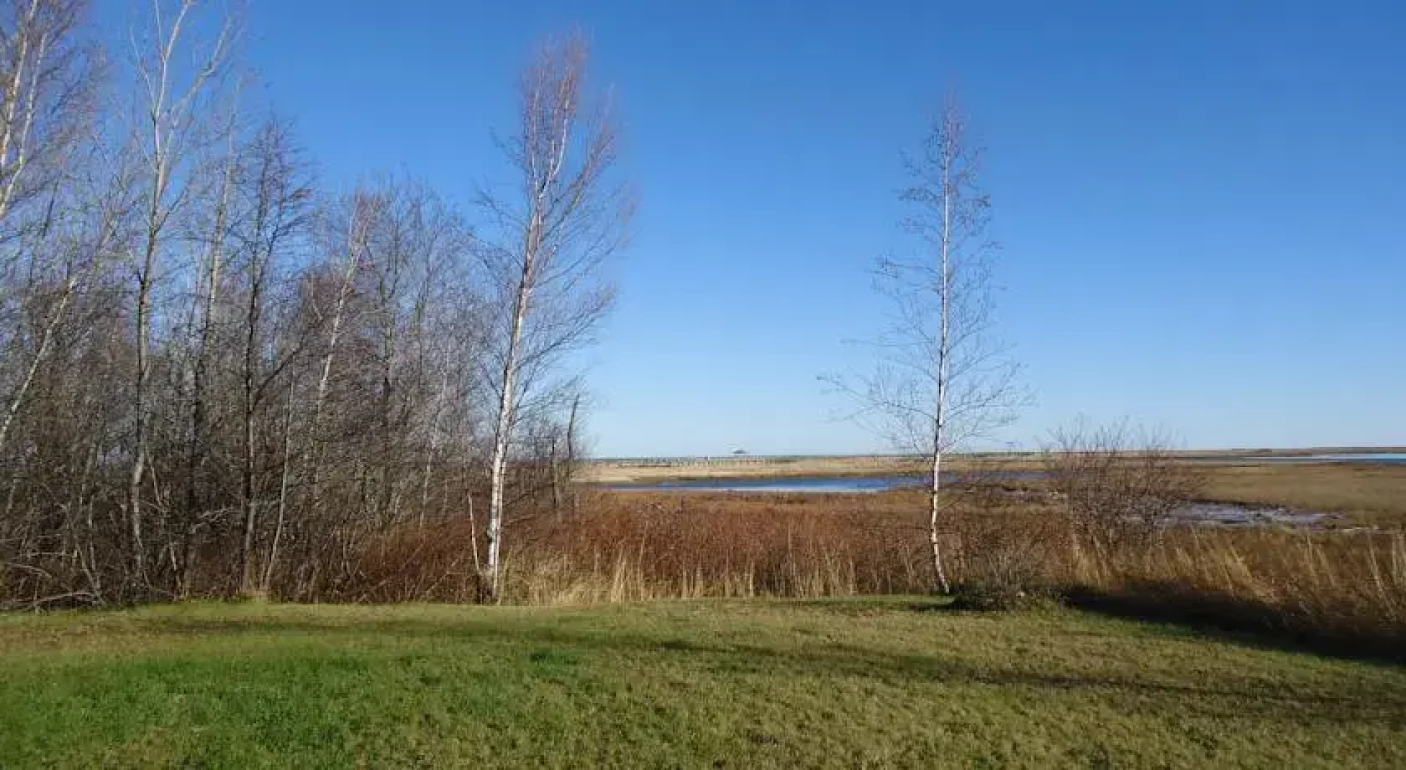 Au Petit Chalet de la Dune