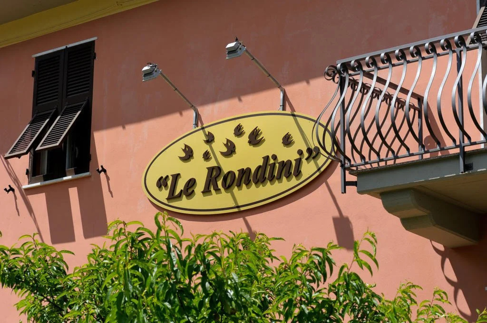 Le Rondini