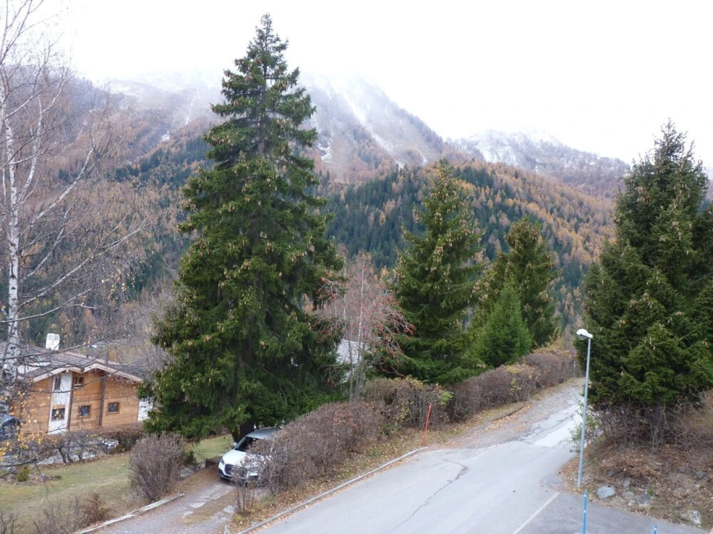 Heida A 5 Leytron in Leytron