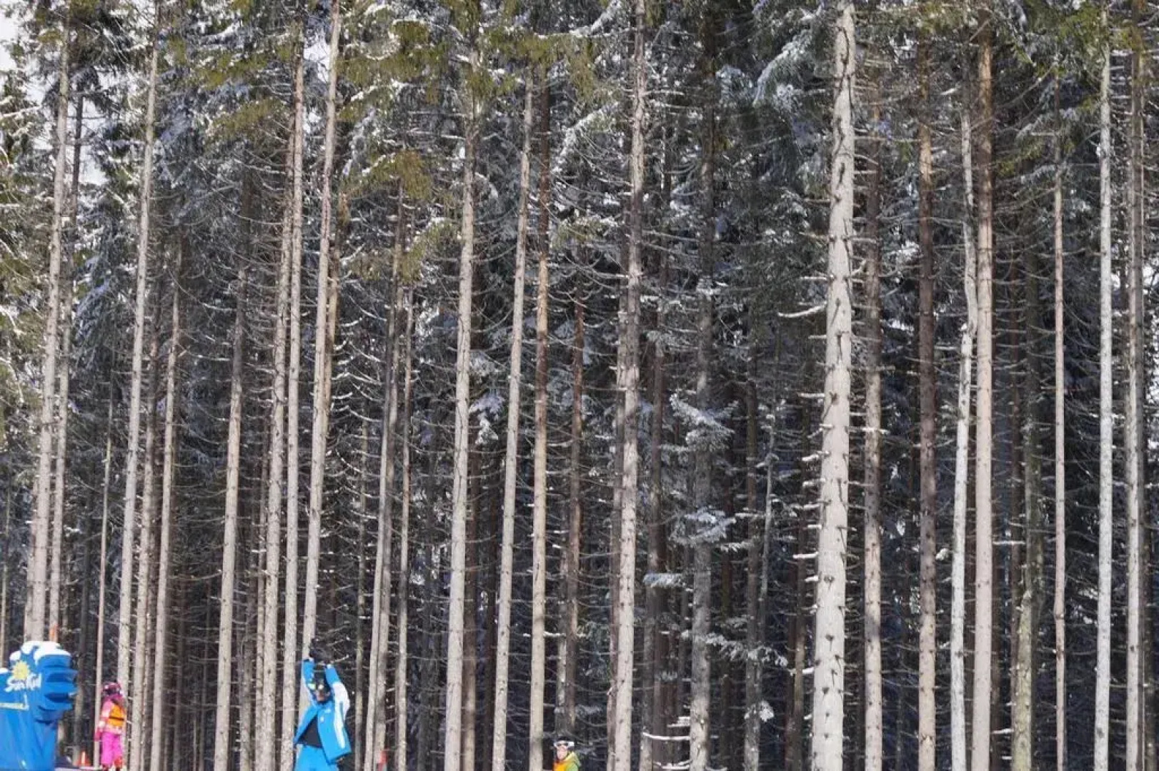 Hotel Wenger Alpenhof