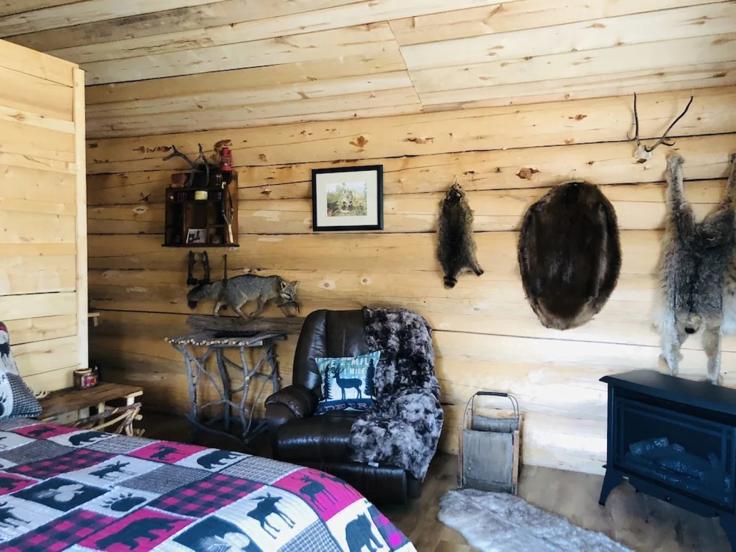 Wrangell Mountain Lodge