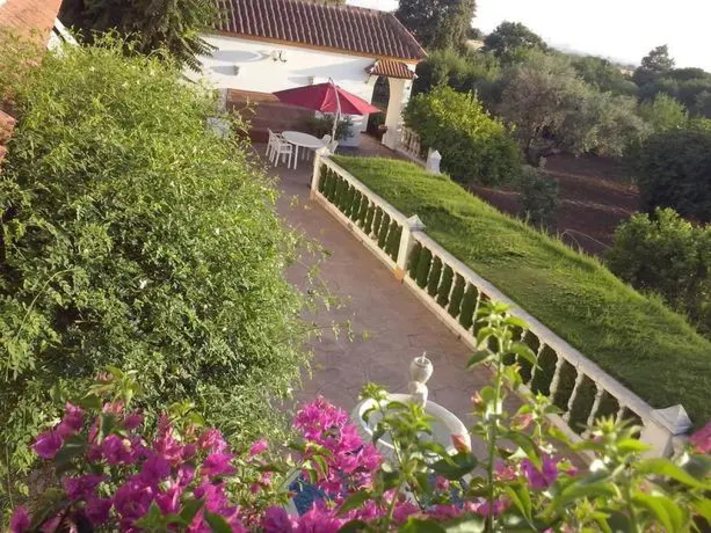 Finca La Luz Bed & Breakfast