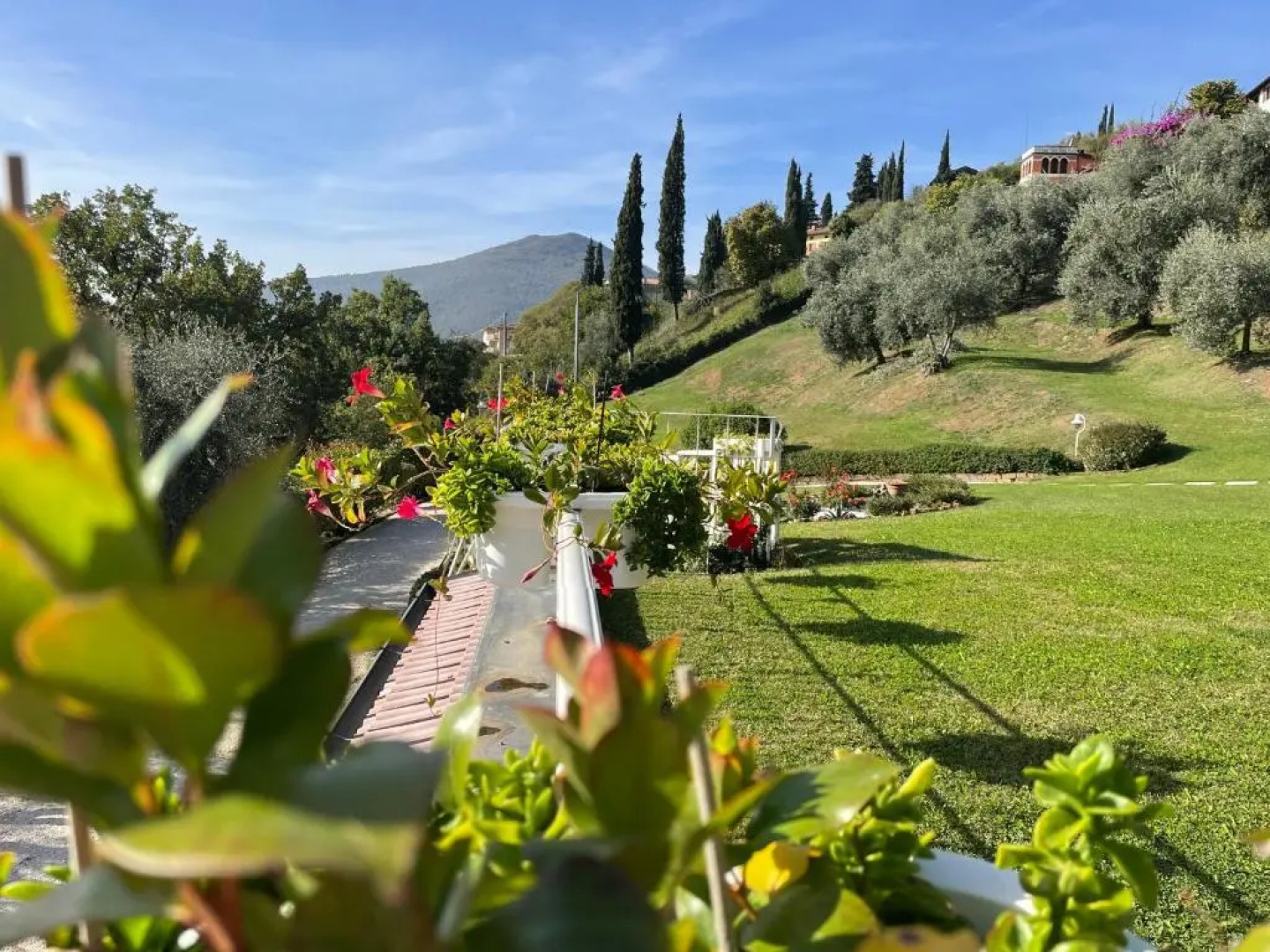 CHALET VELA Natura e Relax