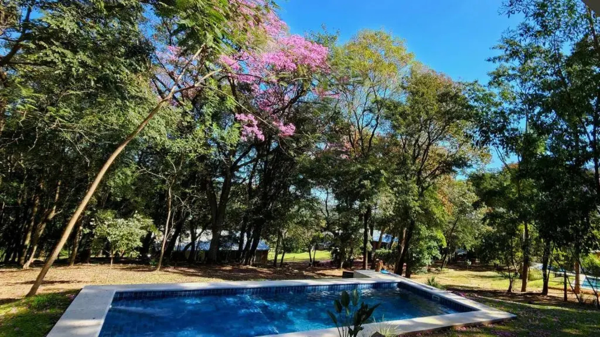 Vista Alegre Natural Resort - Villas & Cabañas