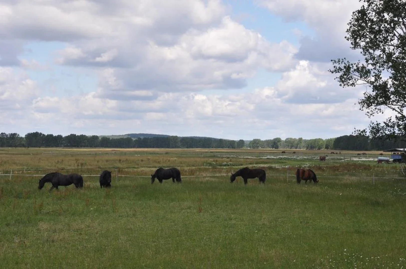 Landhotel Theodore F. garni