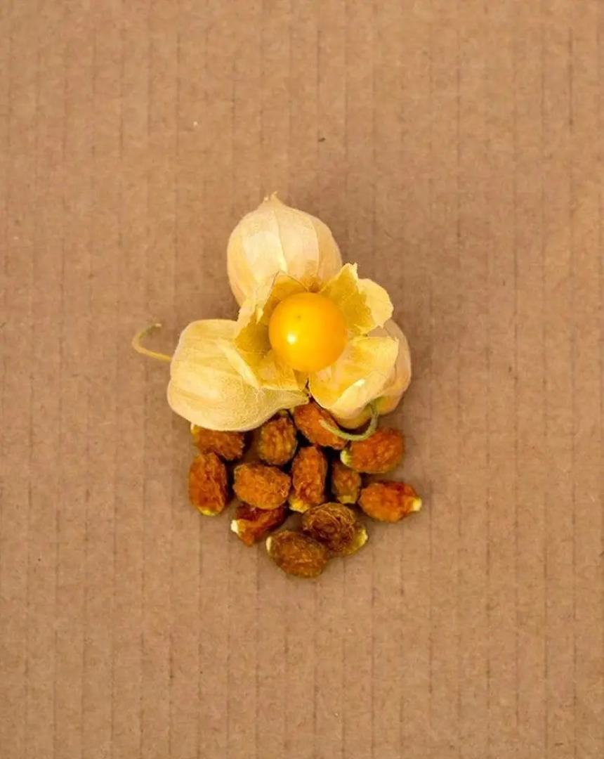 House with 3 Bedrooms in Peraboa, with Wonderful Mountain View, Pool Access, Furnished Garden