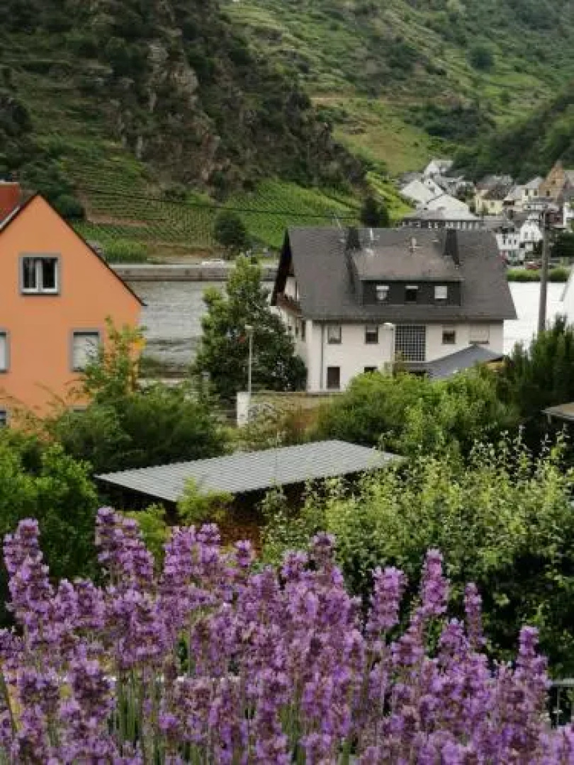 Haus Erika/ Fam. Frevel