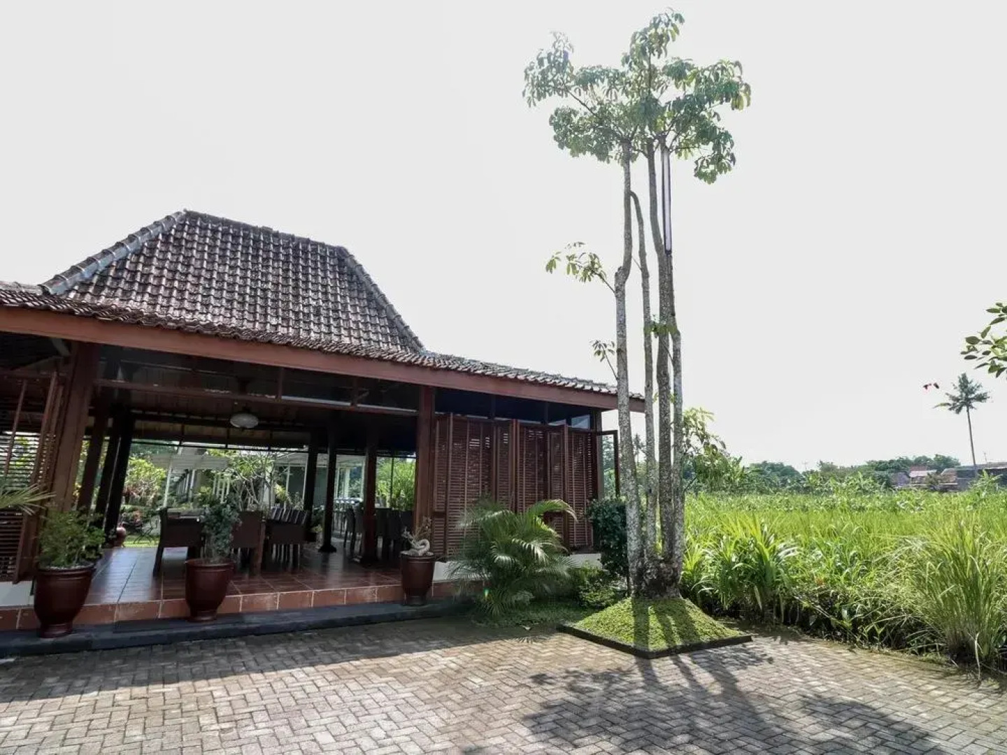 Villa Sawah Gondang Legi