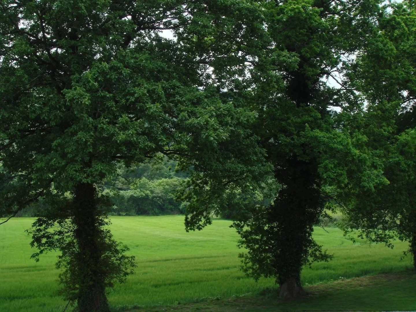 La Métairie du Roch