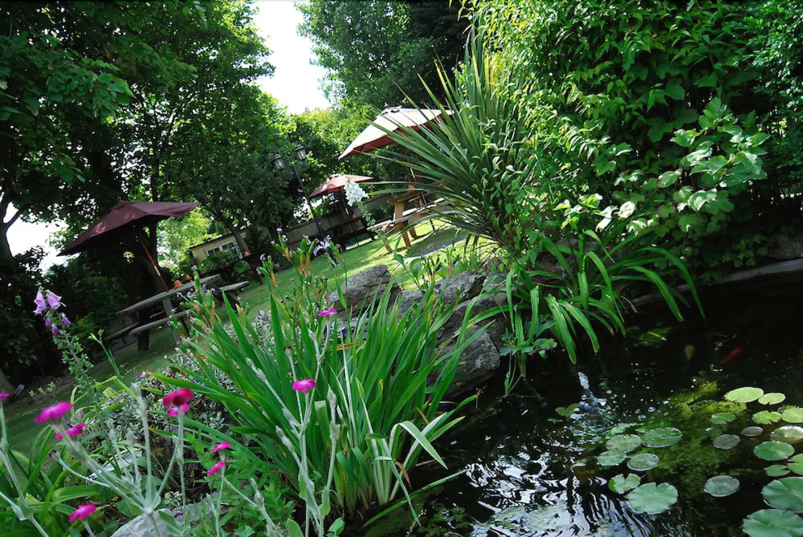 The Jester Country Inn