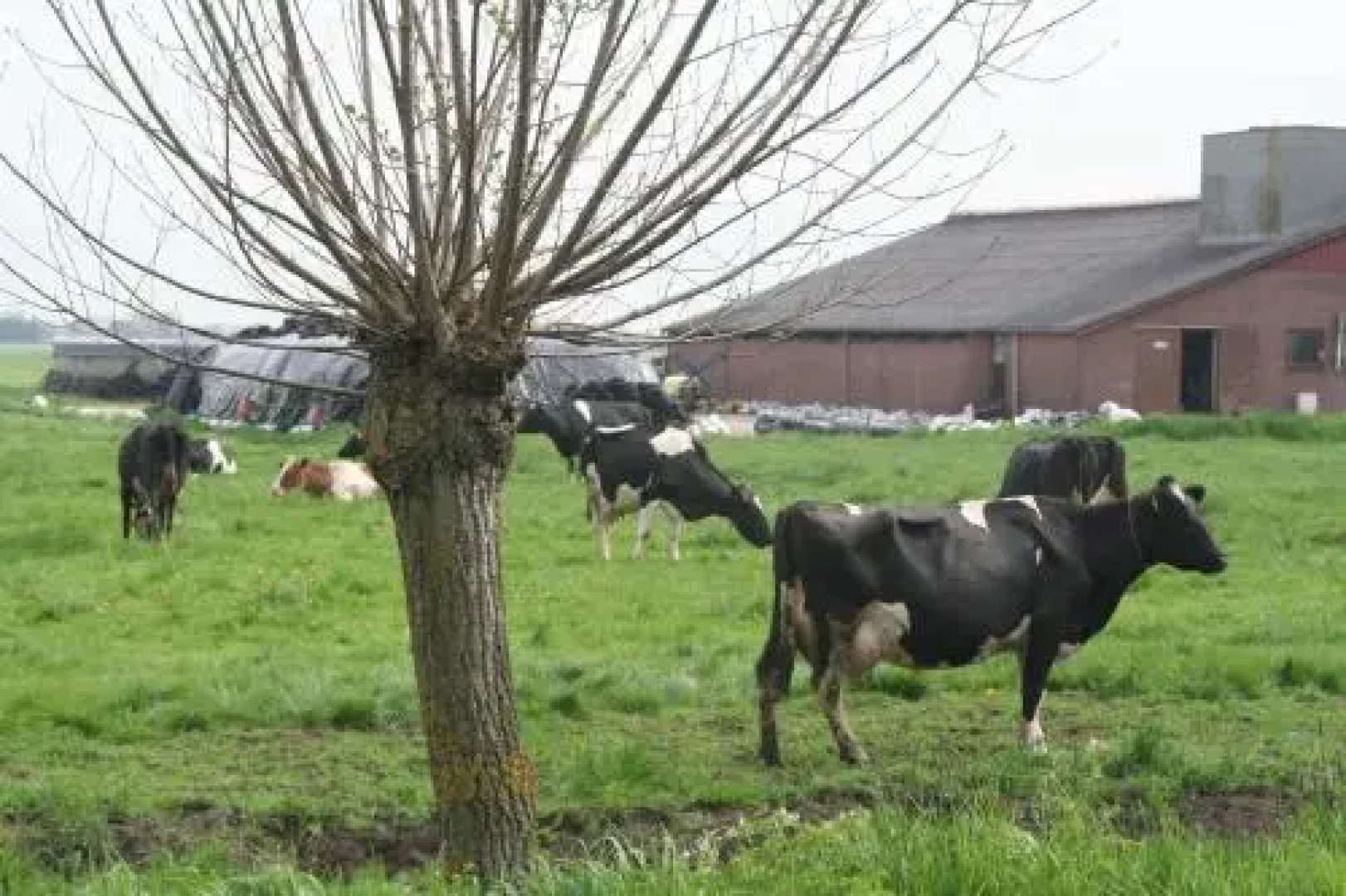 Camping De Grienduil