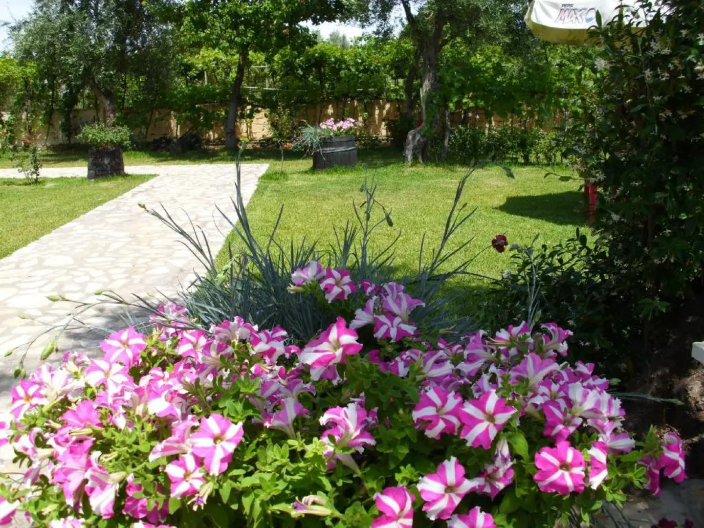 Olga's Garden Apartments