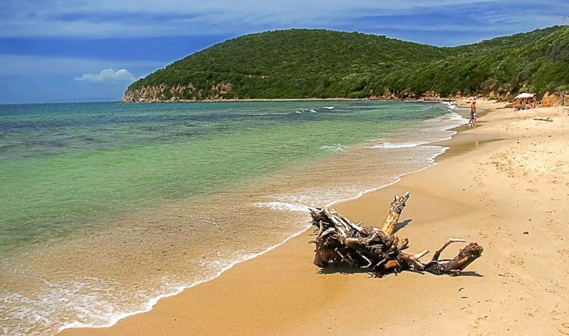 Agriturismo - B&B L'Acquacotta