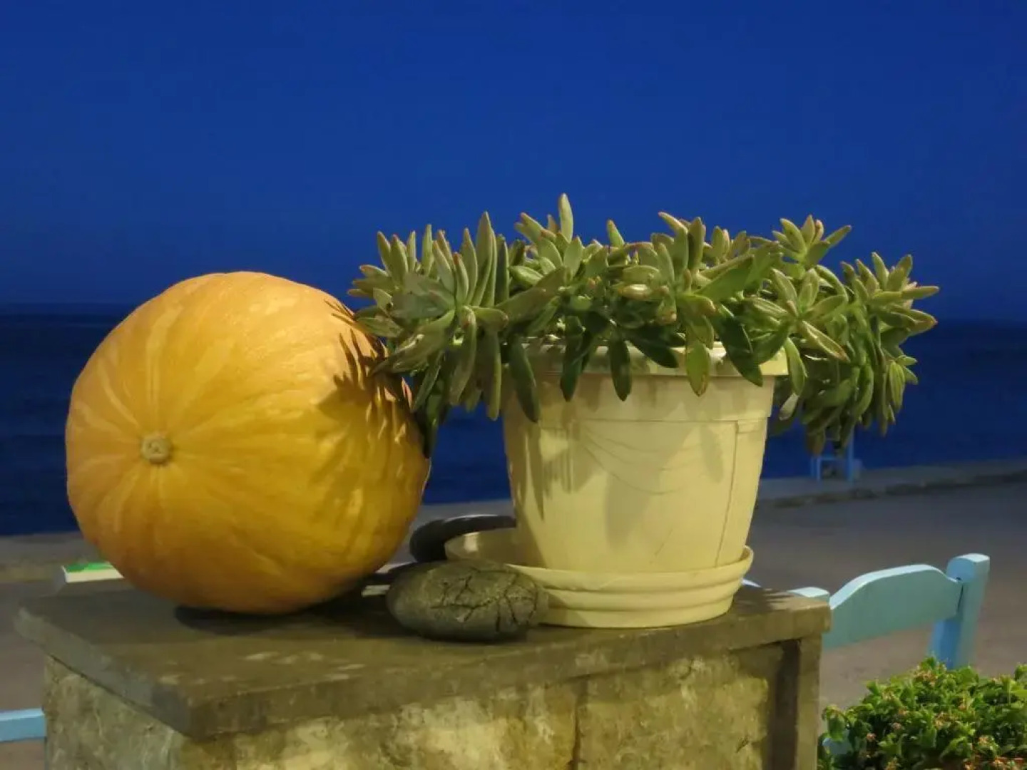 Socrates Apartments & Restaurant