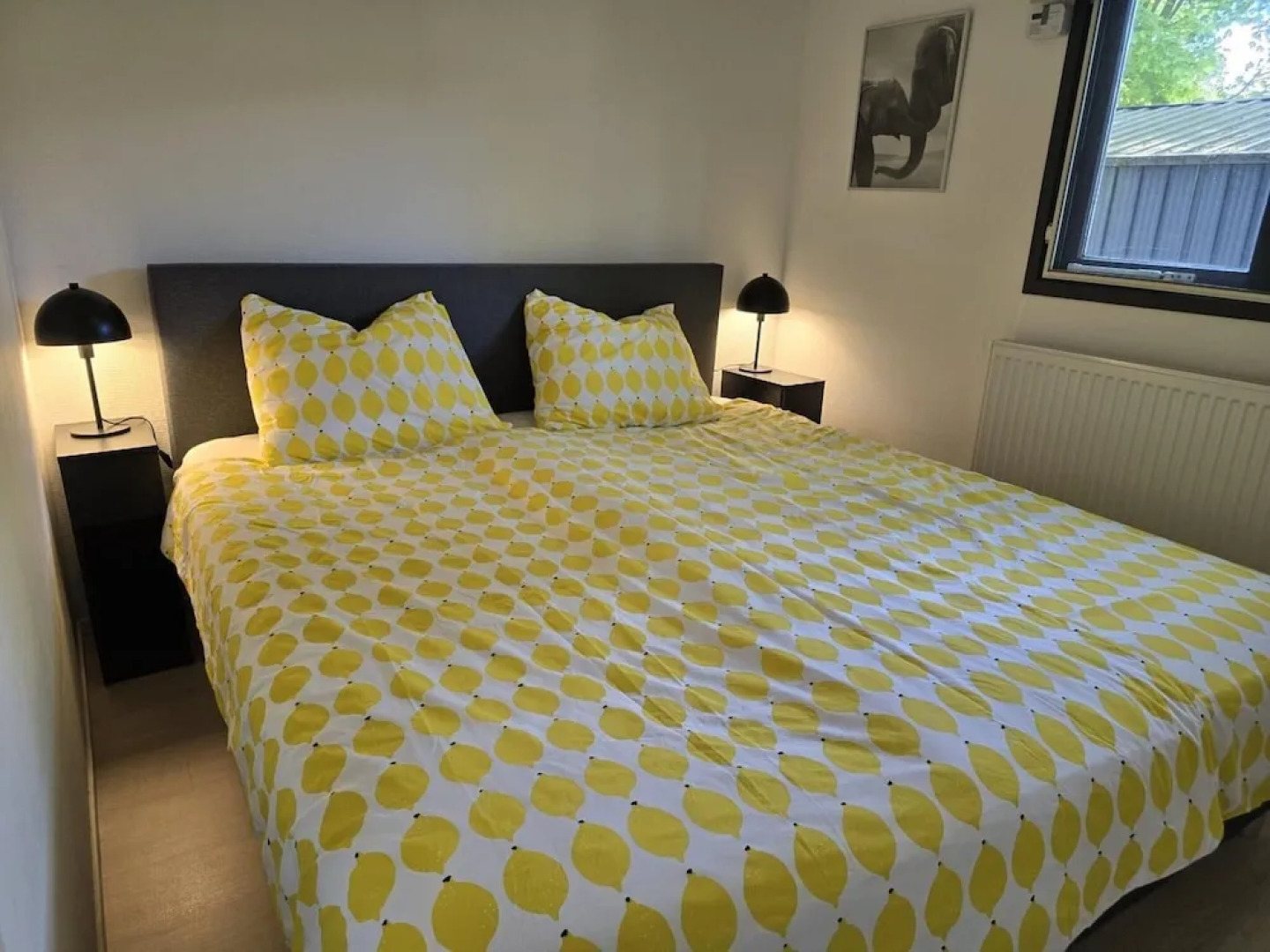 Home in the Dancing Forest