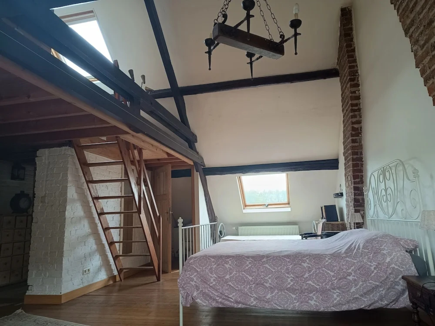 La maison des chiens