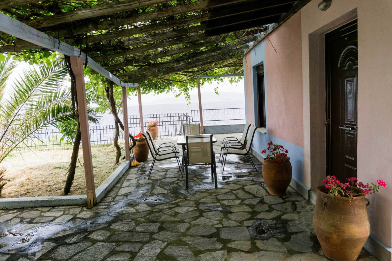 Zennova #1 Mount Athos & Sea View