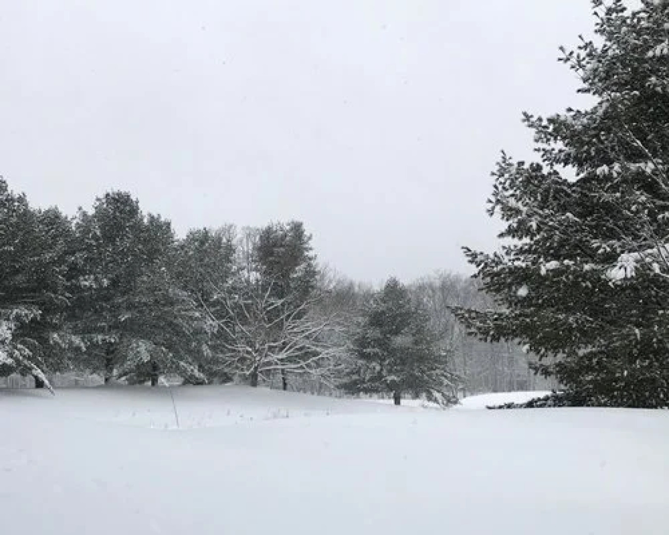 Westwood Villas, Lake Harmony, USA