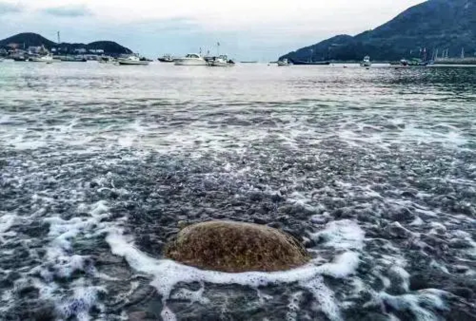 Zhujiajian Wangjingge Guesthouse