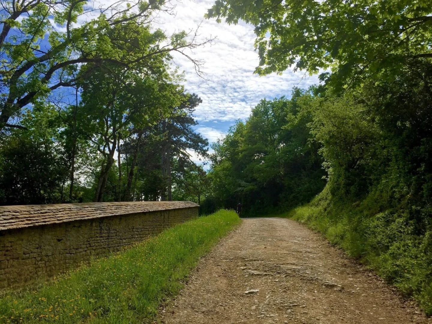 Gite la Maison du Tonnelier, Route des Grands Crus