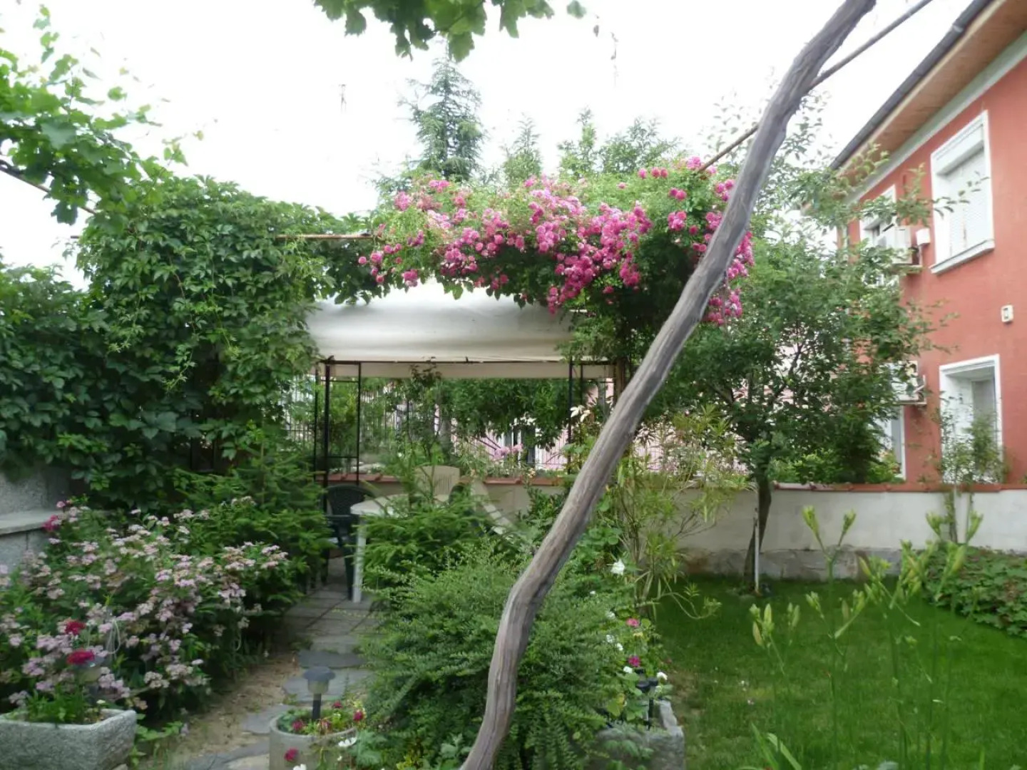 Stai Za Gosti Venera