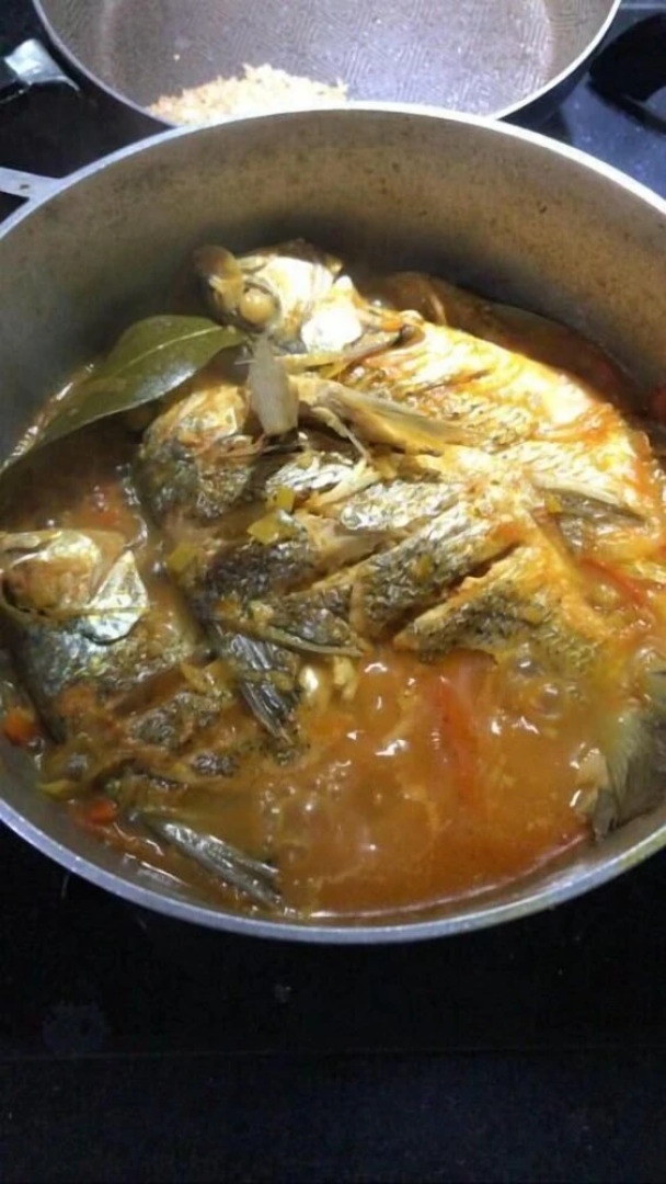 Urantia Beach Hostel & Camping