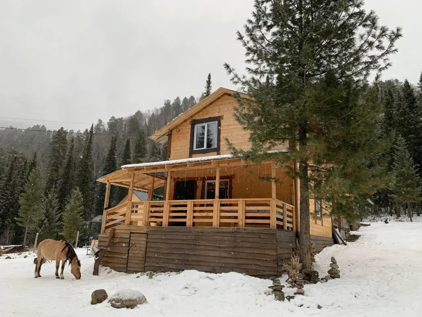 Дом Петровича