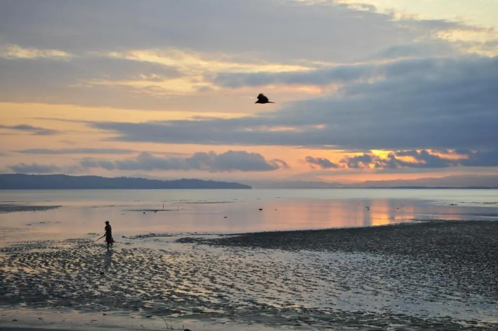Hotel Hibiscus Garden / Jardin De Papos
