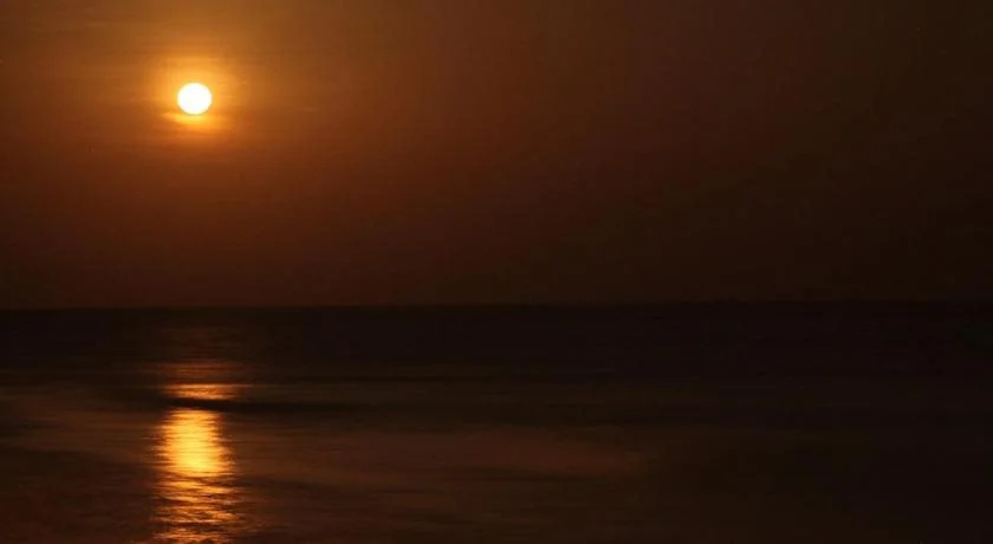 Panama Beach Lodge - Hostel - Adults Only