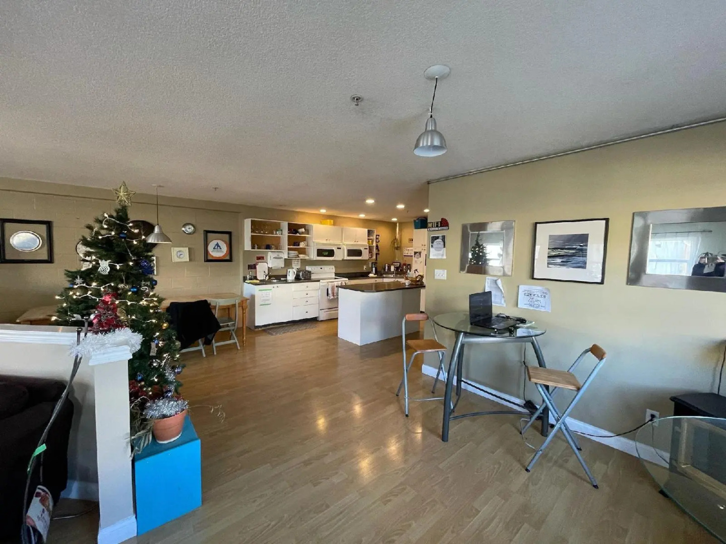 Painted Turtle Guesthouse (Hostel)