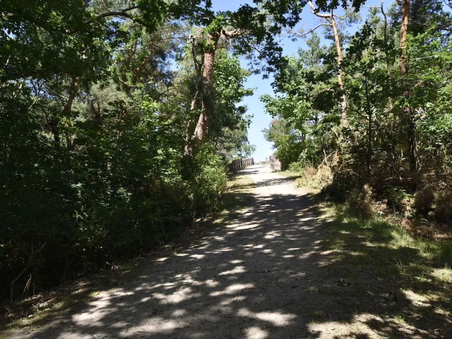 Lovely Apartment in Dierhagen Strand near Baltic Sea