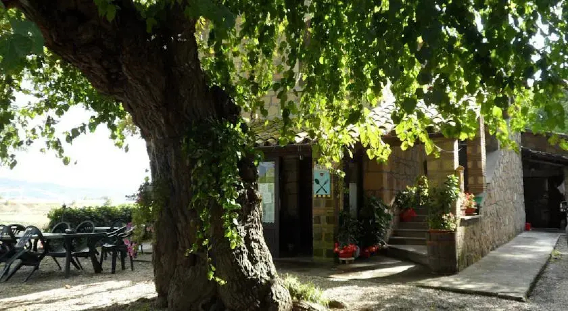 Mola Solis