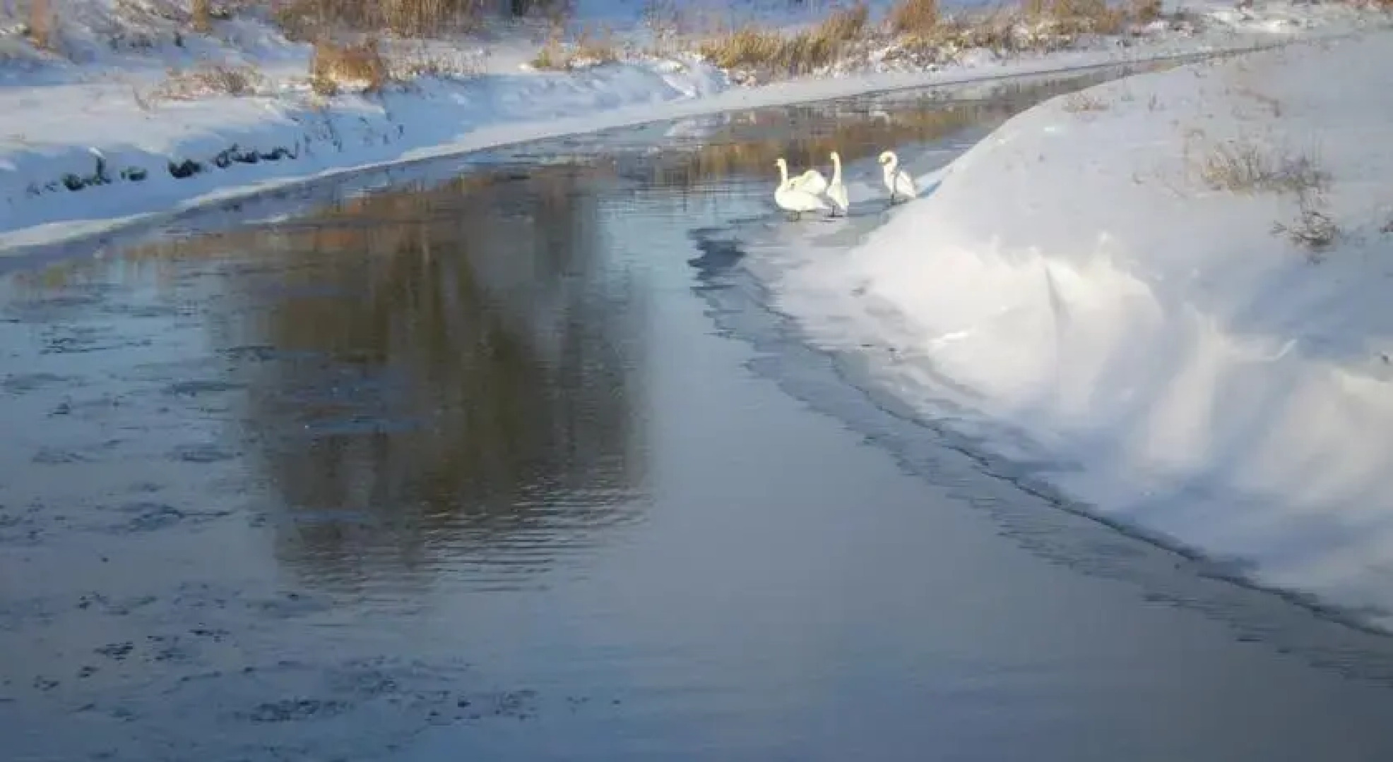 Romantisches Holzhaus
